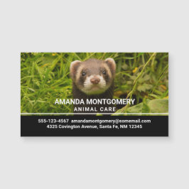 Freno marrón en la foto de la hierba