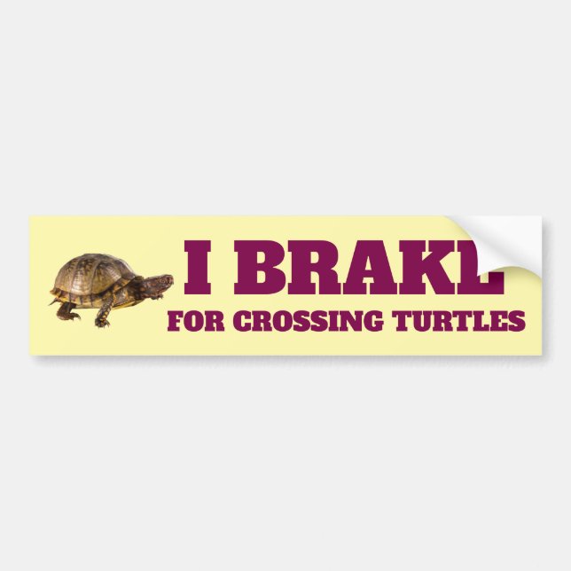 Freno Para Cruzar Las Tortugas Pegatinas De Parach (Frente)