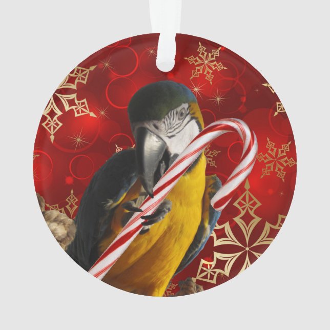 Frente y parte posterior de encargo del ornamento (Reverso)