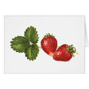 Fresas