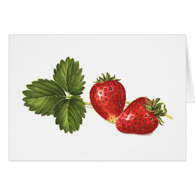 Fresas (Anverso (Horizontal))