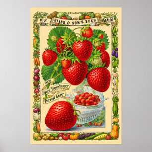 Fresas Arte Botánico de la Era Victoriana Retro