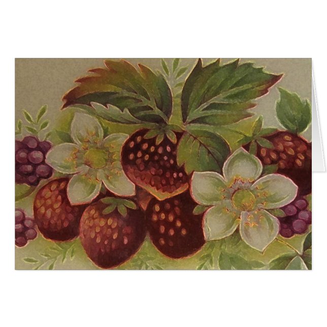 Fresas del vintage (Anverso (Horizontal))