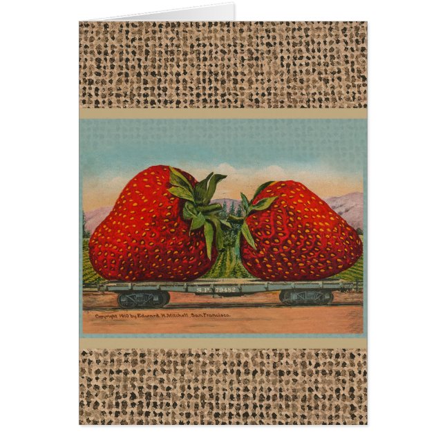 Fresas Gigante Fruto de la Antigüedad (Frente)