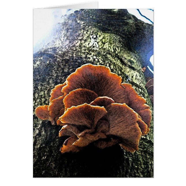 Fresco de la seta (Frente)