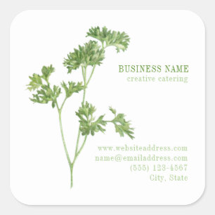FRESH PARSLEY Biz ID Pegatinas cuadrados grandes