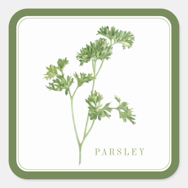 FRESH PARSLEY Grandes Pegatinas Cuadrados - Verde (Anverso)