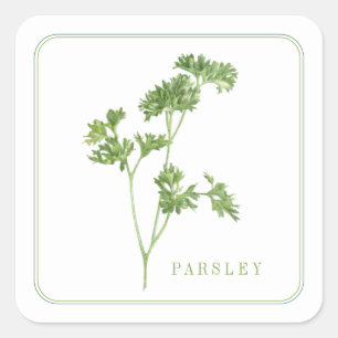 FRESH PARSLEY Pequeños Pegatinas Cuadrados