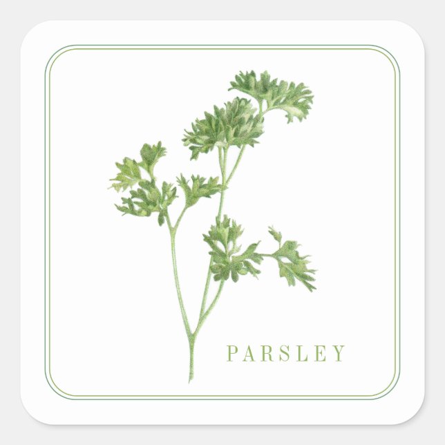 FRESH PARSLEY Pequeños Pegatinas Cuadrados (Anverso)