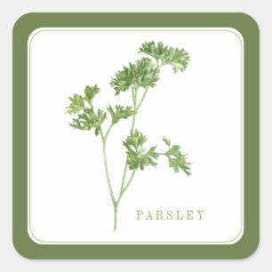 FRESH PARSLEY Pequeños Pegatinas cuadrados - Verde