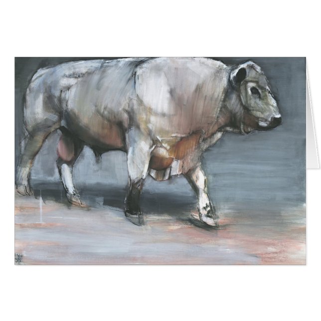 Fresno Galloway Bull (Anverso (Horizontal))