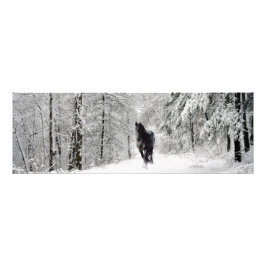 Friesian DIAMOND VII - Impresión fotográfica