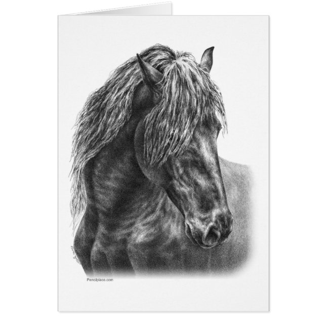 Friesian Horse Portrait Wavy Mane (Frente)