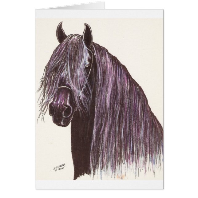 Friesian Horse Study (Frente)
