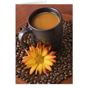 Frijoles de café y margarita amarilla