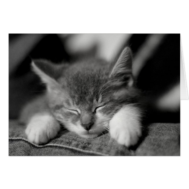 Frisco (Anverso (Horizontal))