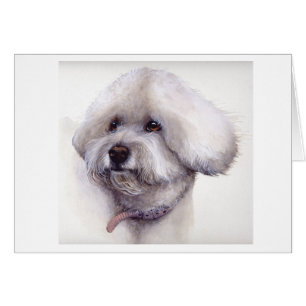 Frisia de Bichon pintada en acuarela