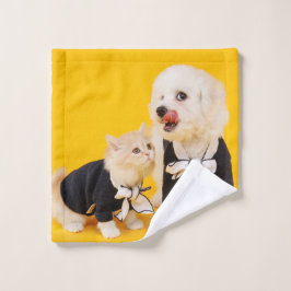 Frisos y gatitos de Bichon, mejores amigos