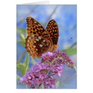 Fritillary en el azul - mariposa