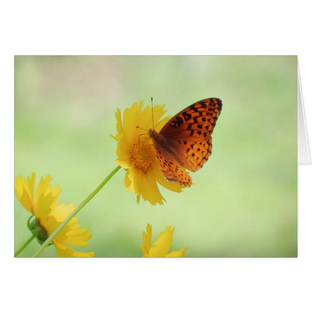 Fritillary Fun - Mariposa (Anverso (Horizontal))