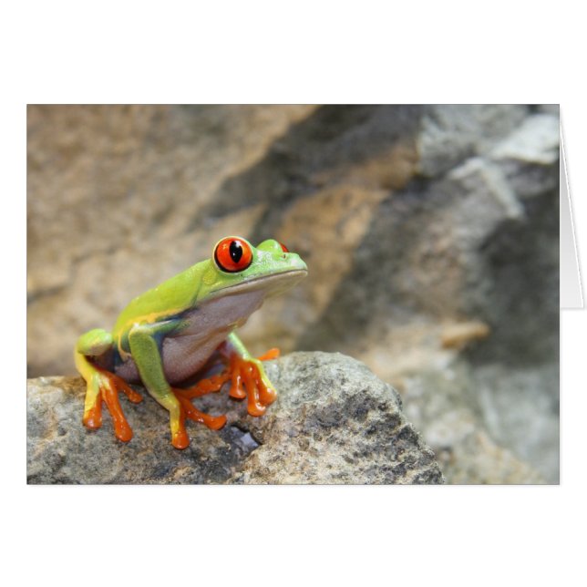 Froggy (Anverso (Horizontal))