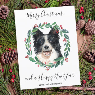 Frontera Perro Collie Elegante Feliz Navidad