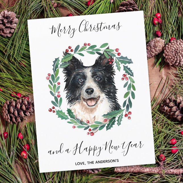 Frontera Perro Collie Elegante Feliz Navidad (Subido por el creador)