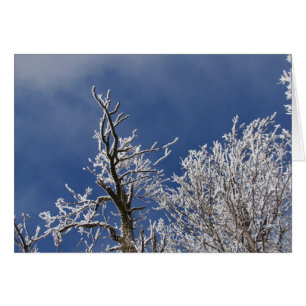 Frosty Iowa Tarde