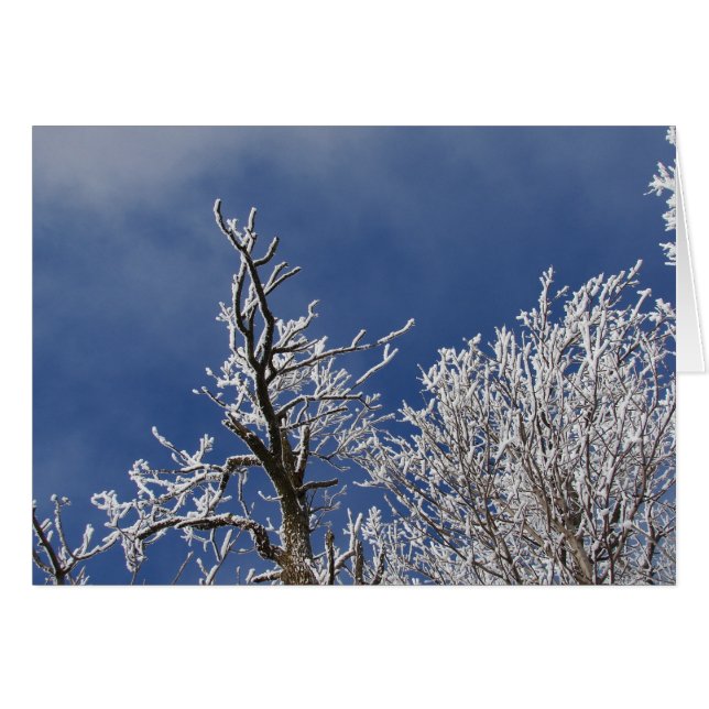 Frosty Iowa Tarde (Anverso (Horizontal))