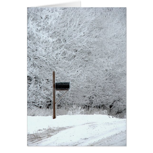 Frosty Winter Scene Blank Inside Greeting Card (Frente)
