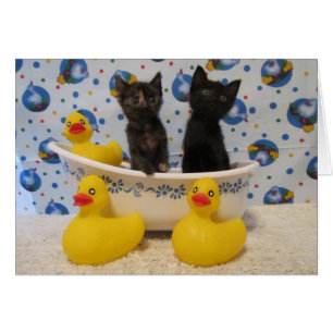 Frote los gatitos y los patos de una copia de la