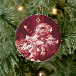 Fruity Parfuma Rosa - Ornamento cerámico
