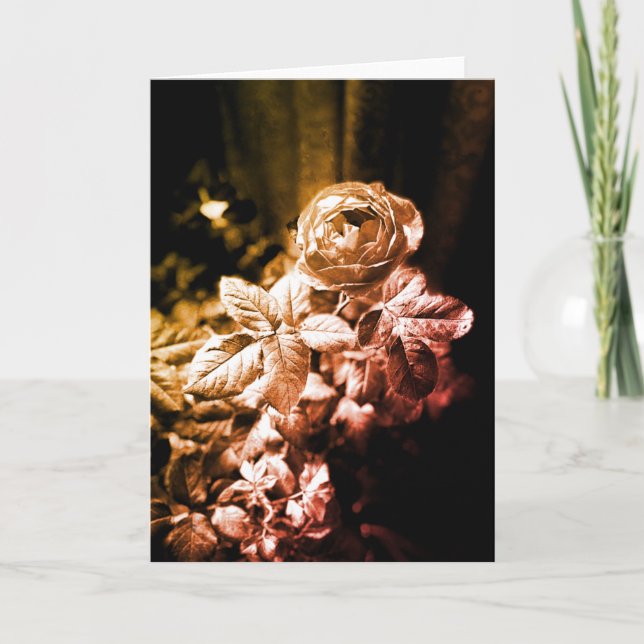 Fruity Parfuma Rosa - Tarjeta de agradecimiento (Anverso)