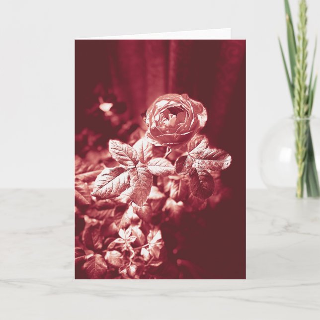 Fruity Parfuma Rosa - Tarjeta de agradecimiento (Anverso)