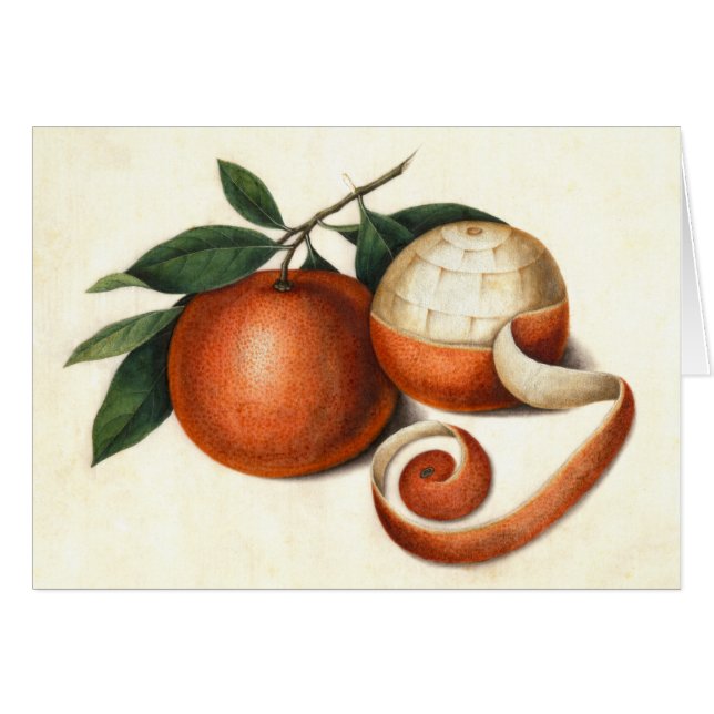 Fruta de cítricos vintage - Naranjas chinos antigu (Anverso (Horizontal))