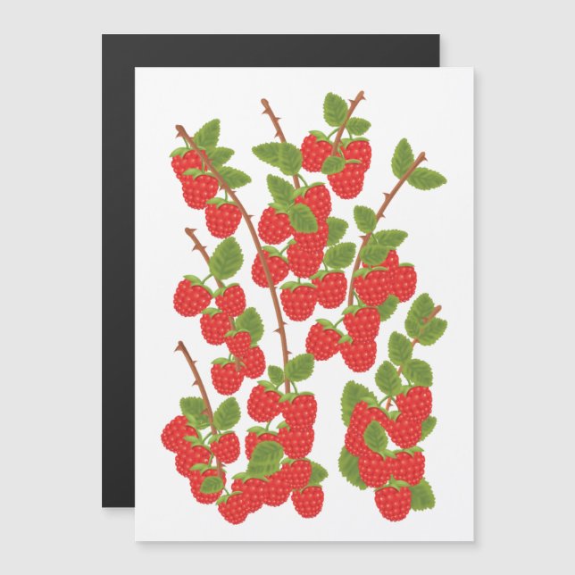Fruta de frambuesa (Anverso/Reverso)