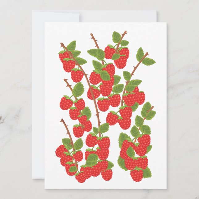 Fruta de frambuesa (Anverso)