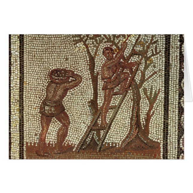 Fruta de la cosecha, mosaico romano (Anverso (Horizontal))