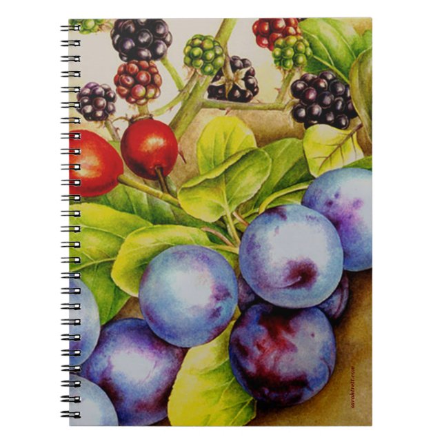 Fruta del cuaderno de arte fino de Hedgerow (Frente)