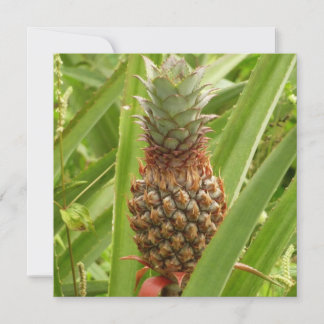 Fruta tropical de la piña silvestre en la naturale