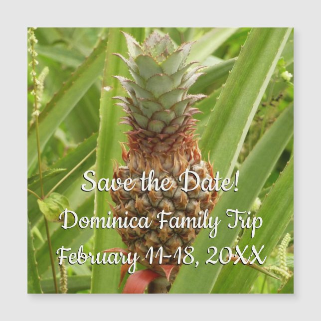 Fruta tropical de la piña silvestre en la naturale (Anverso)