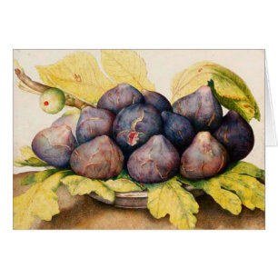 FRUTAS DE LA TEMPORADA / PLATO CON HIGOS Y HOJAS V