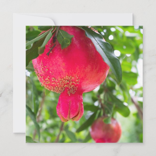 Frutas granadas (Anverso)