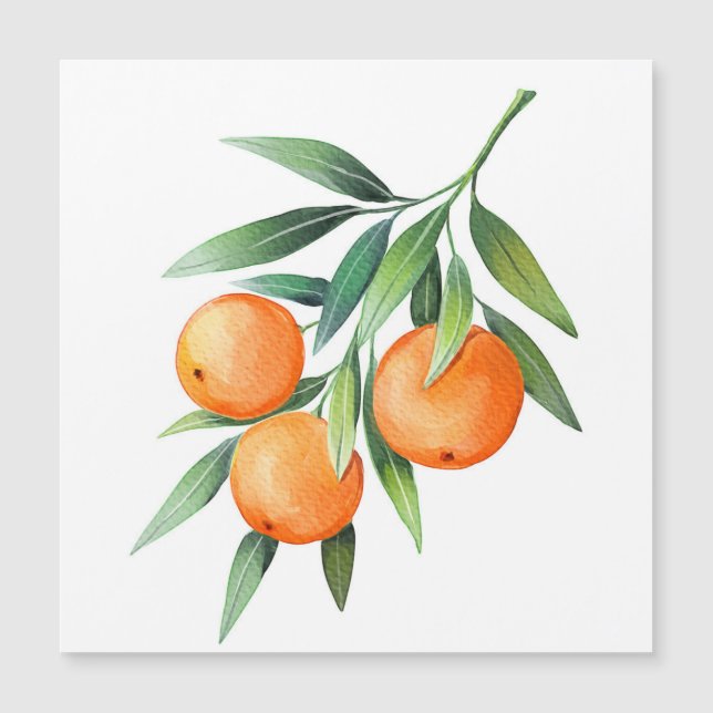 Frutas Naranjas acuáticas: Ramas aisladas. (Anverso)