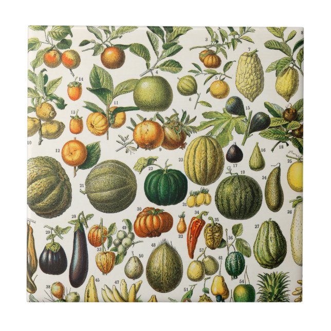 Frutas y verduras Azulejos cerámicos (Frente)