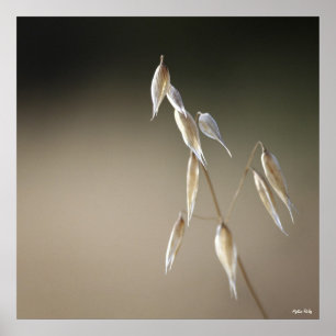 Fruto de la impresión de avena salvaje