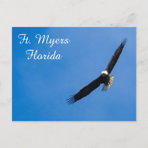 Ft. Postal de Myers Bald Eagle