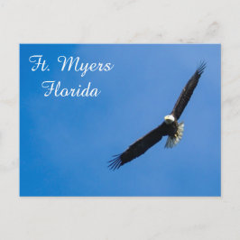 Ft. Postal de Myers Bald Eagle