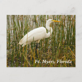 Ft. Tarjeta postal de Myers