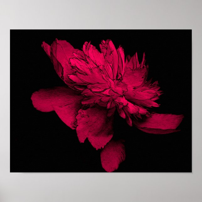 Fuchsia Peony Flower Resumen arte floral (Frente)